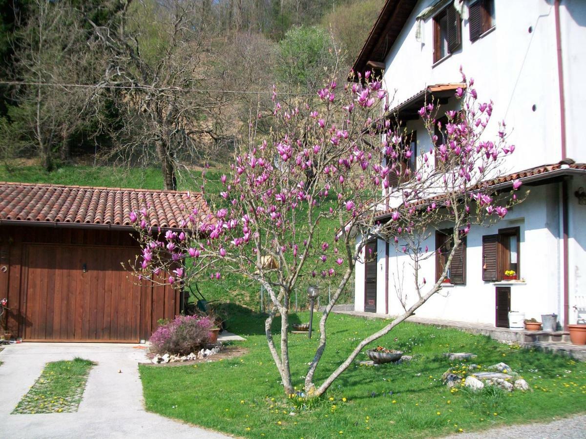 B&B In Fattoria Frisanco Eksteriør bilde
