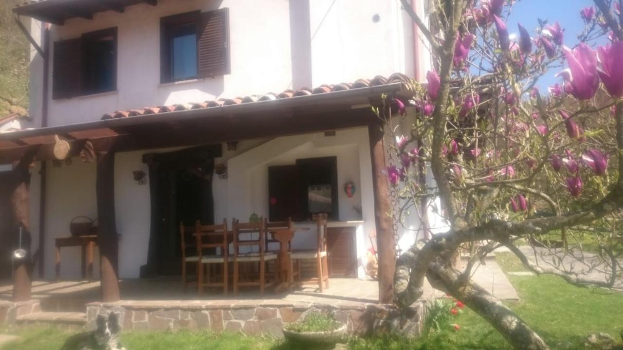 B&B In Fattoria Frisanco Eksteriør bilde
